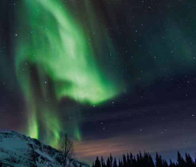 NCW2 Coverpage e1774339845603